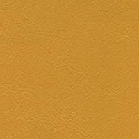 aries511